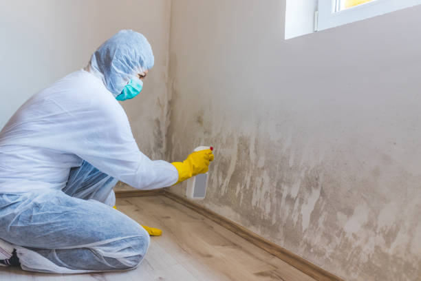Bathroom Mold Removal assessment in North Fort Myers bathroom