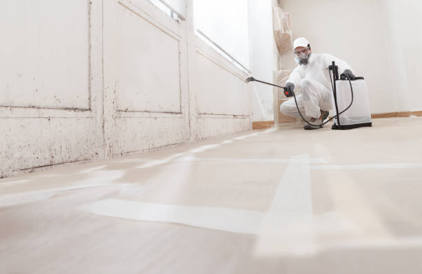 Black mold remediation team in North Fort Myers